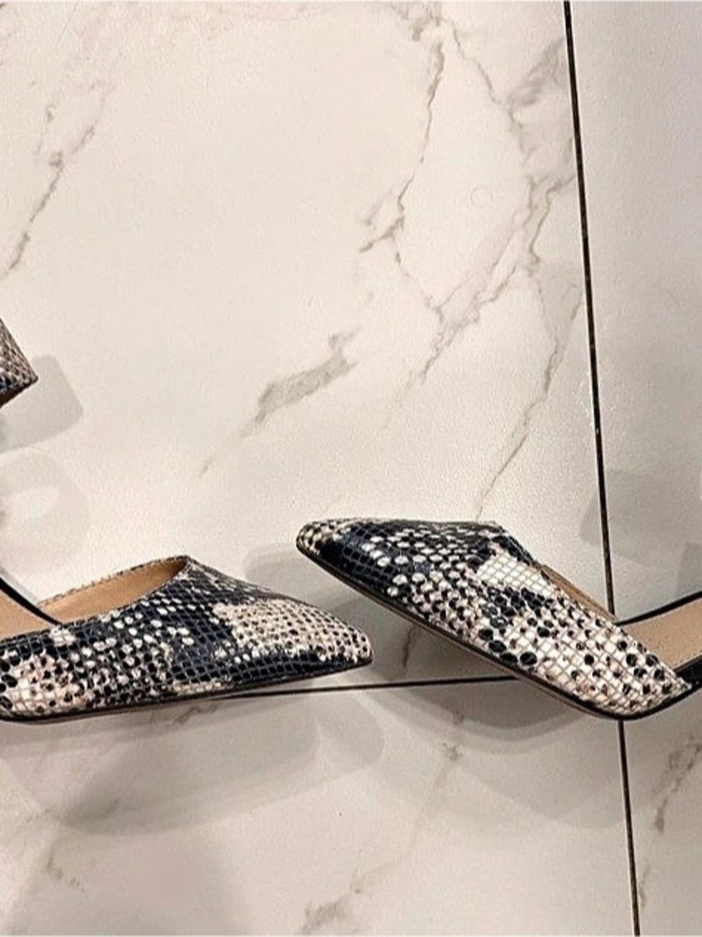 Franco Salvatore Snakeskin Print Pointed Toe Heels US 6.5 NWT
